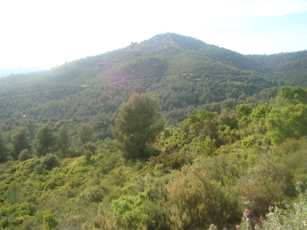 El Puig d'Olorda.
