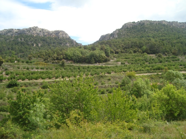 Muntanyes que envolten el poble de la Febró.